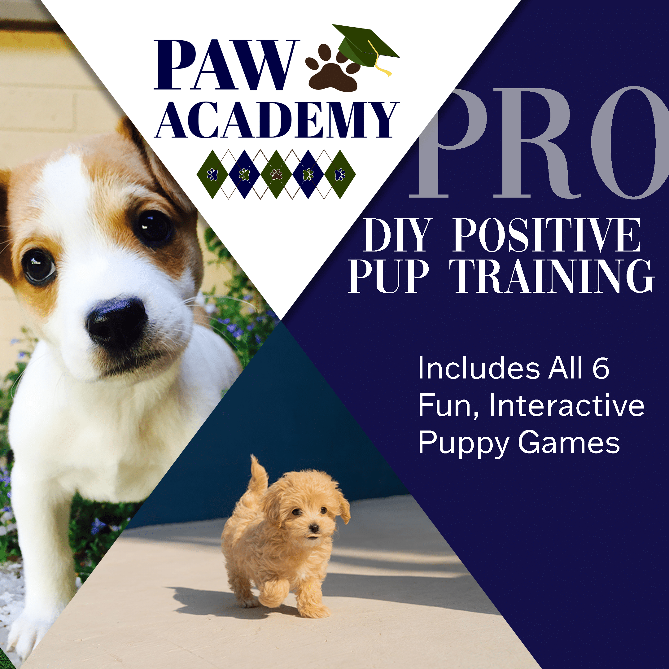 Paw Academy pro package