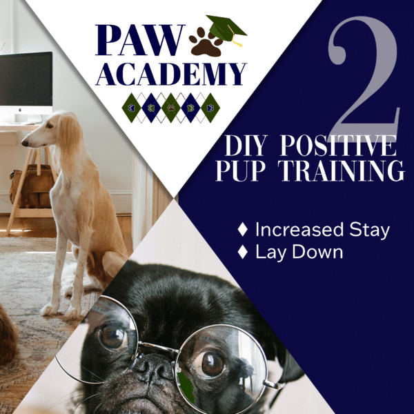 Paw Academy Playful Pup Lesson 2